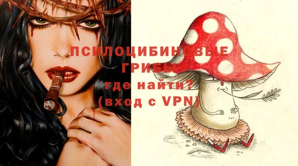 мдма Приозерск
