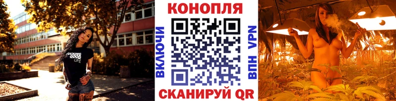 Шишки марихуана ГИДРОПОН  купить закладку  OMG онион  Болотное 